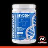 CREATINE 300