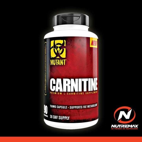CORE SERIES CARNITINE  90 capsules